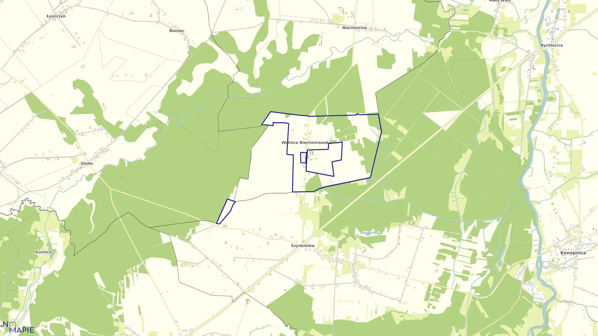 Mapa obrębu WOLNICA NIECHMIROWSKA w gminie Burzenin